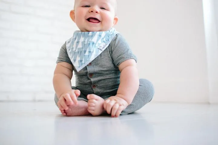 Bandana Bib, Arctic