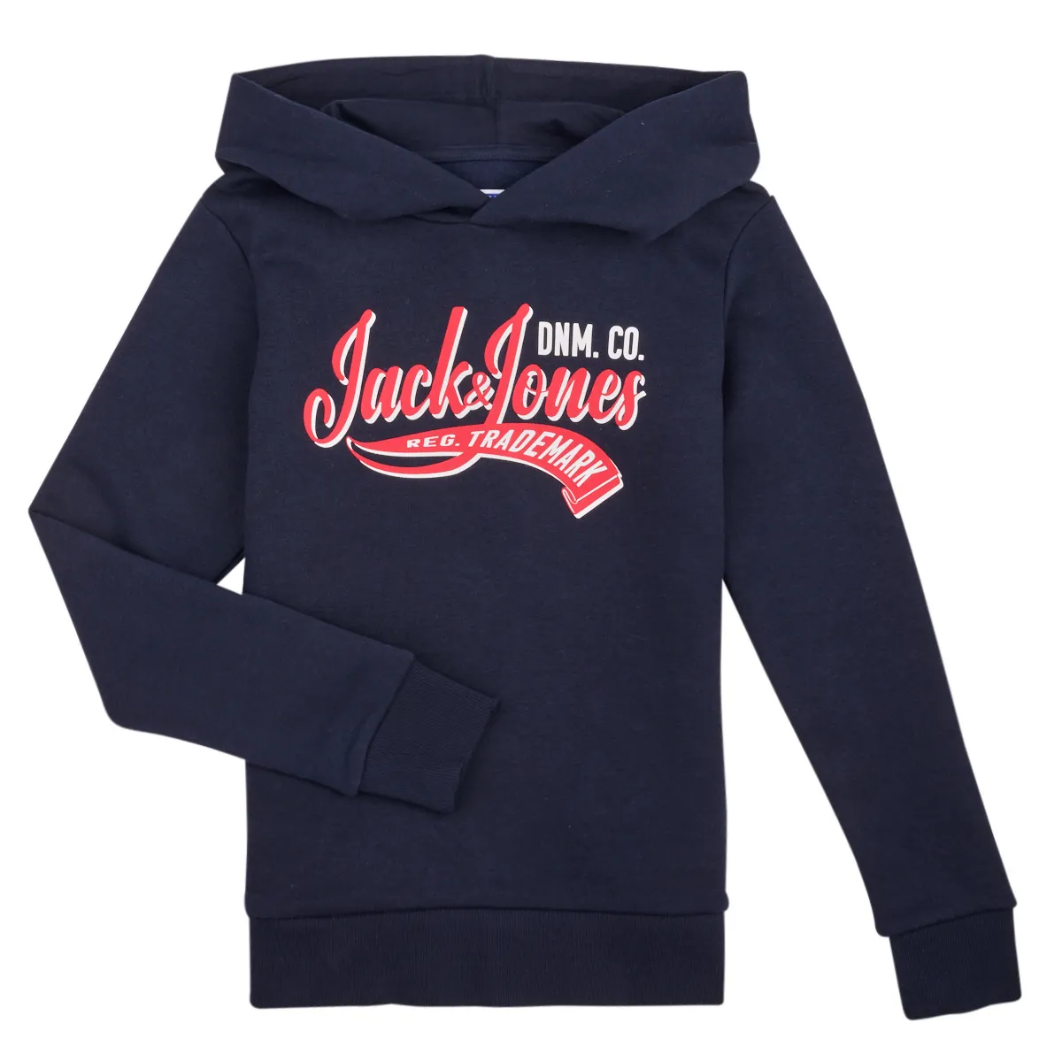 Jack & Jones - JJELOGO SWEAT HOOD 2 COL 24 SNJNR