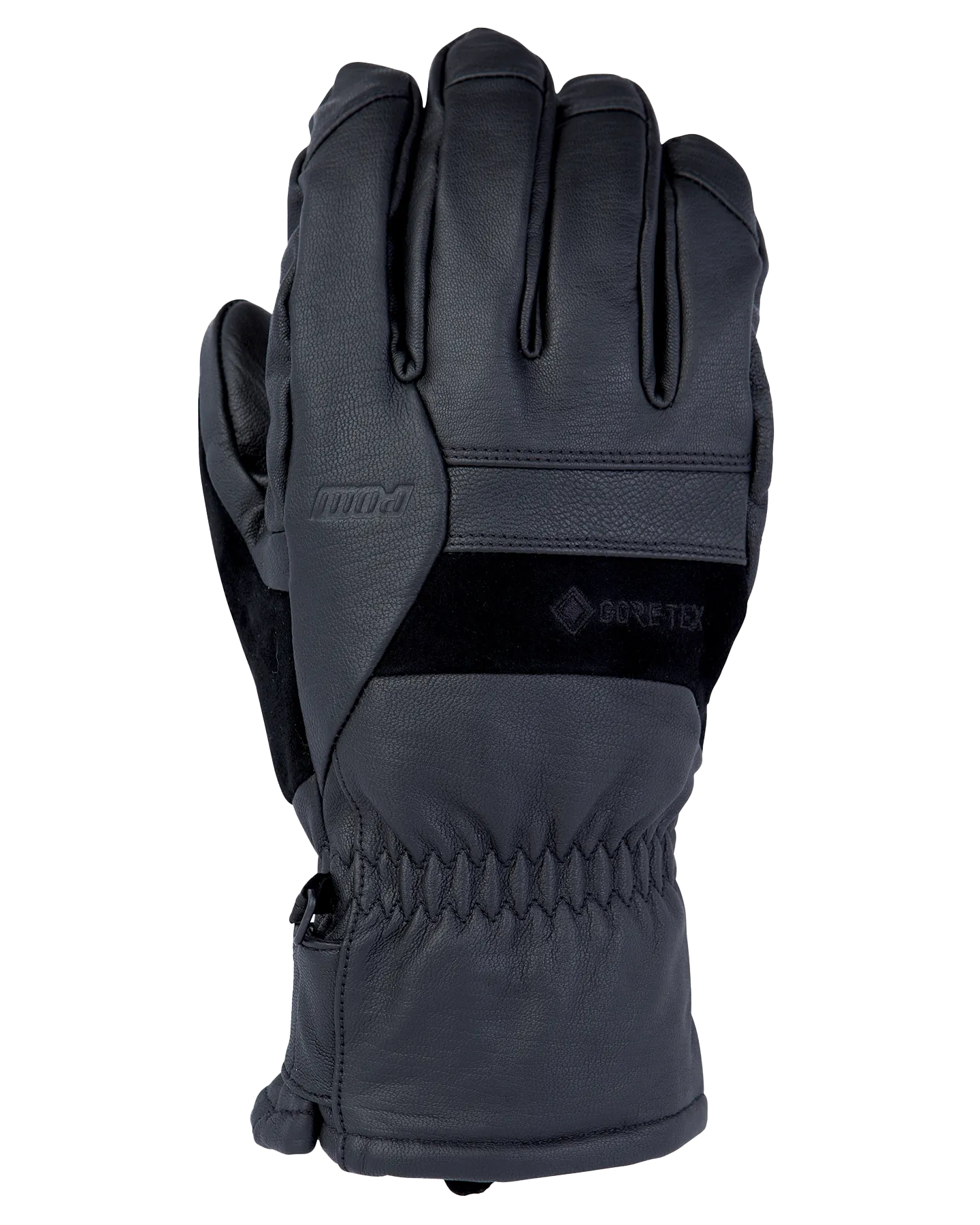 Pow Gloves Stealth Gtx Snow Gloves +Warm