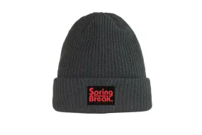 Spring Break Beanie