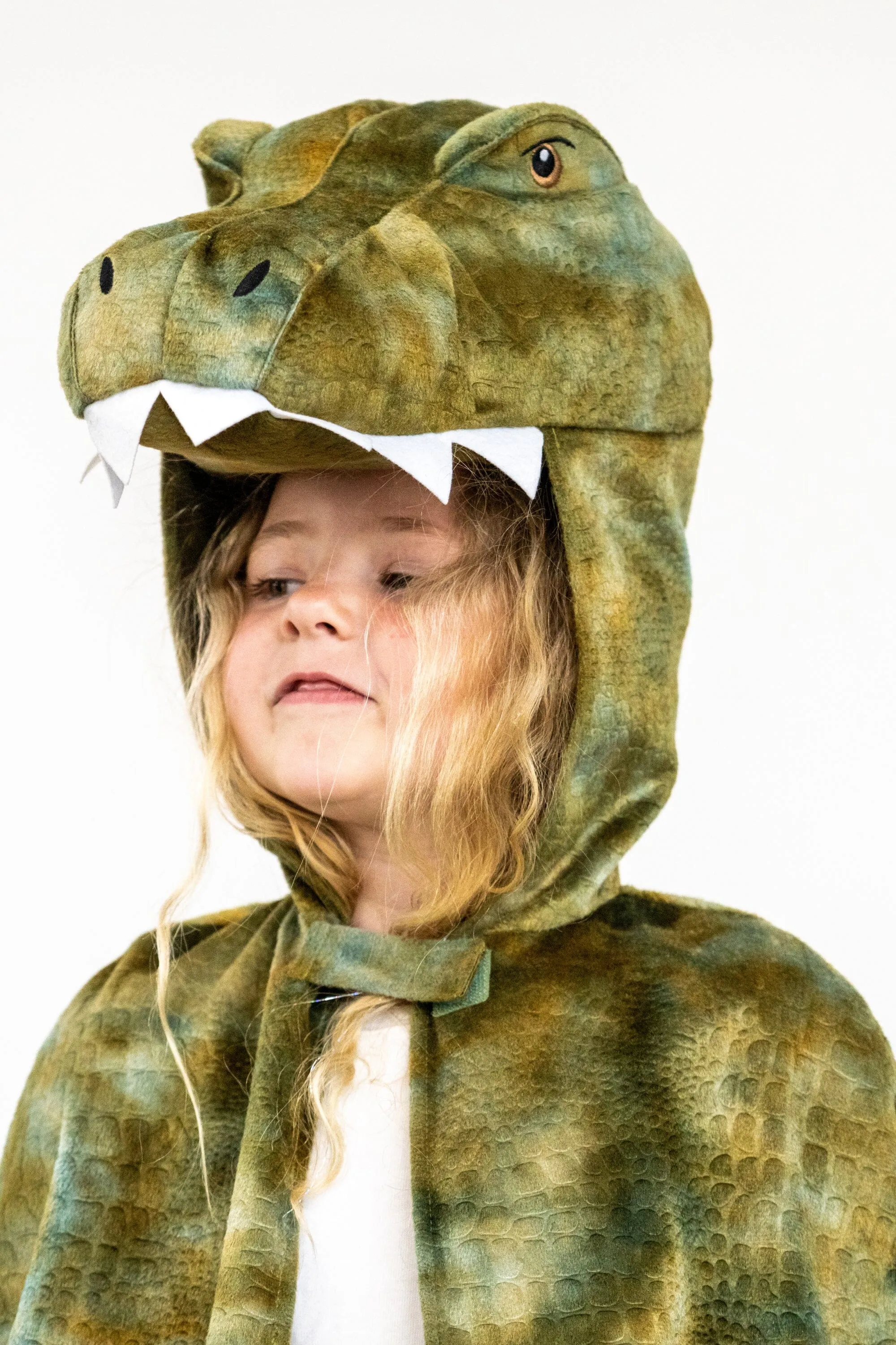 T-Rex Hooded Animal Cloak